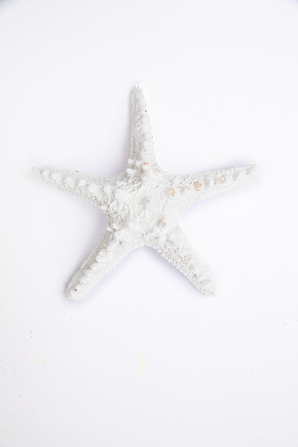 A Starfish In White thumbnail