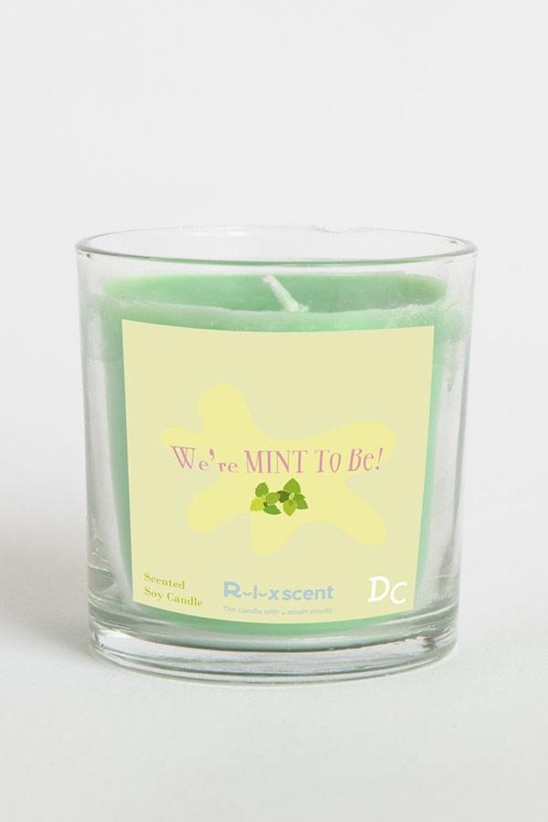 We Are Mint To Be Candle With A Cotton Wick thumbnail