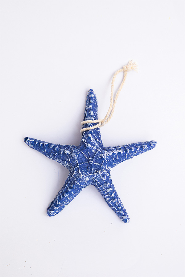 A Starfish In Navy Blue thumbnail