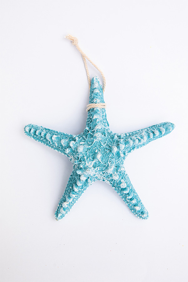 A Starfish In Blue thumbnail