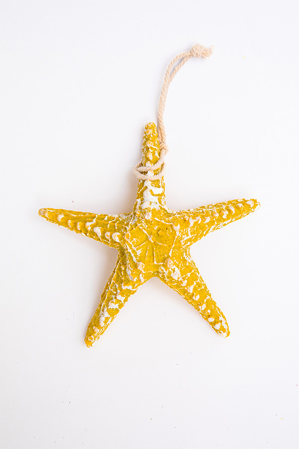 A Starfish In Yellow thumbnail