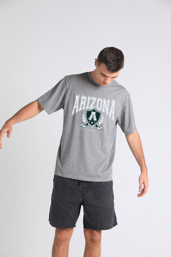 Arizona T-Shirt In Grey thumbnail