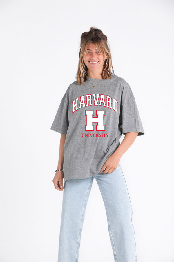Harvard T-Shirt In Grey thumbnail