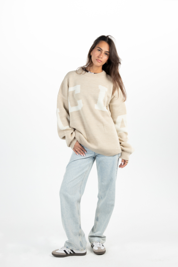 Ucla Oversized Sweater In Beige thumbnail
